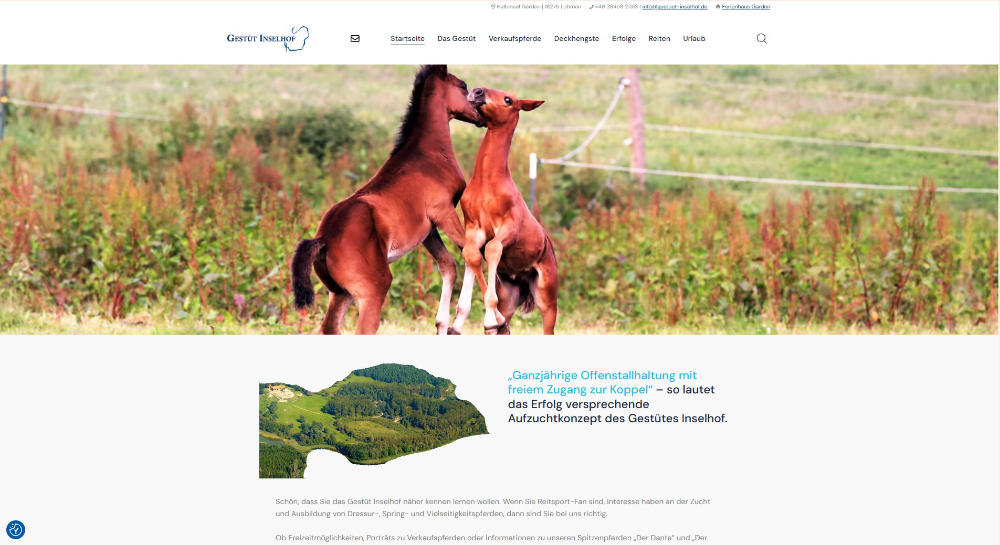 Website des Gestütes Inselhof mit Startseite und Landing Pages für Reiten, Urlaub und Verkaufspferde.