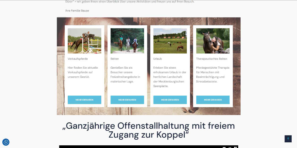 Website des Gestütes Inselhof mit Landing Pages für Reiten, Urlaub und Verkaufspferde.