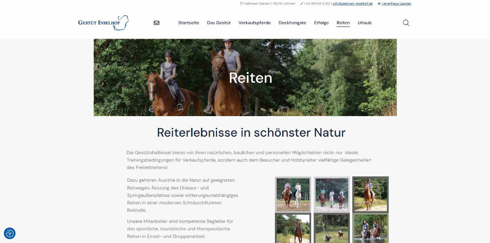 Website des Gestütes Inselhof mit Unterseite für Reiten